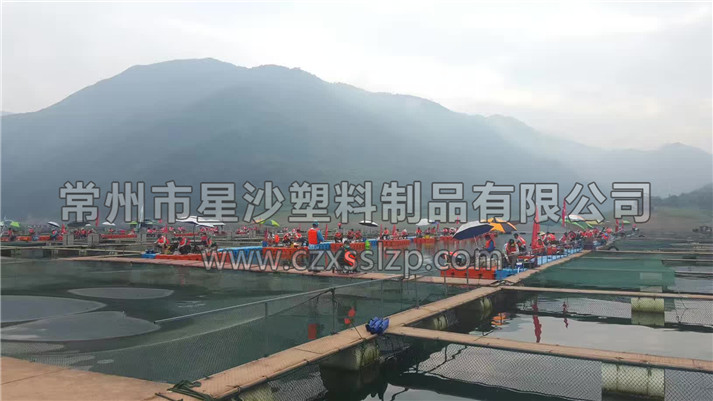 常州市星沙塑料制品有限公司客戶案例-張家界水庫釣魚平臺(tái)1